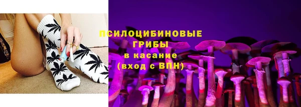 2c-b Пестово