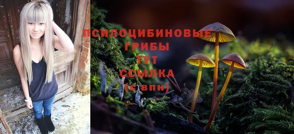 2c-b Пестово