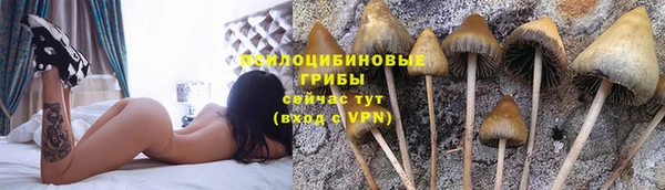 тгк Покровск
